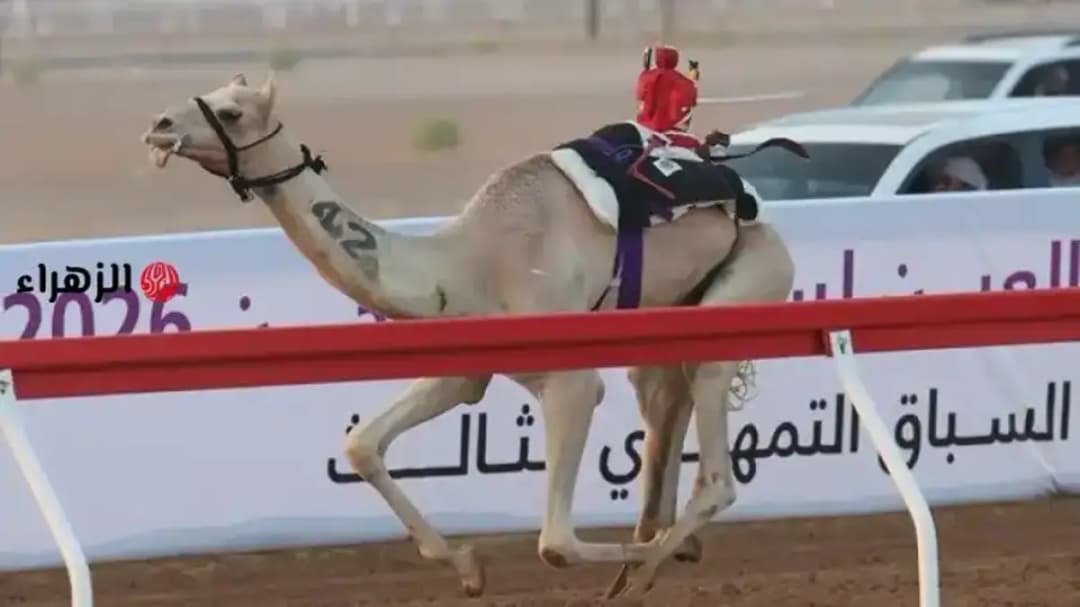 غيام
