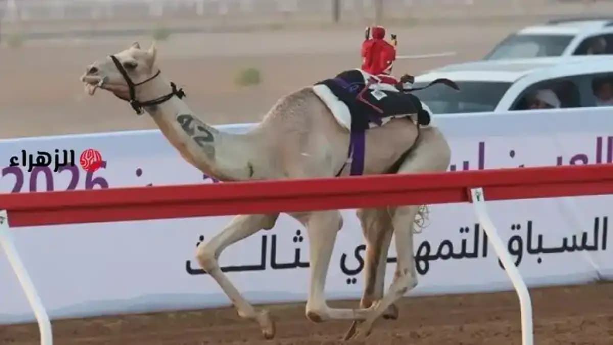 غيام