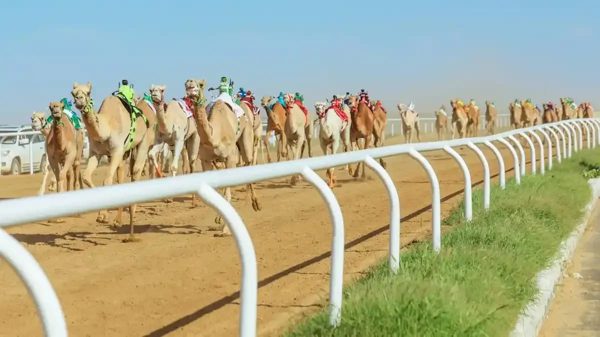 مهرجان ولي العهد
