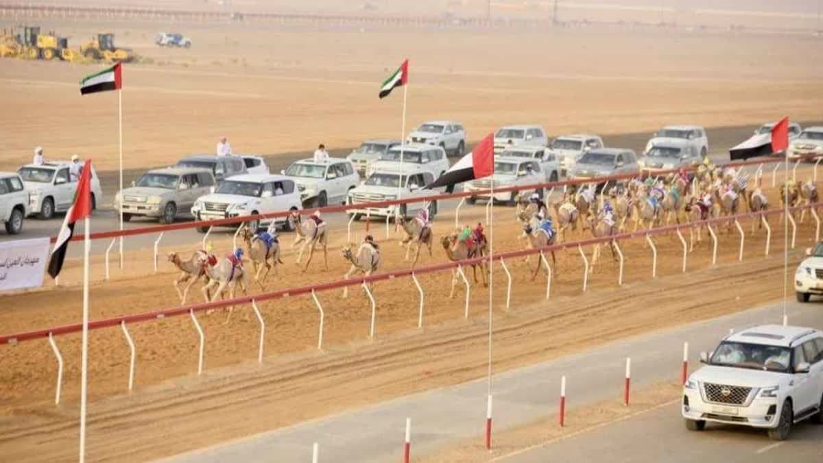 مهرجان العين