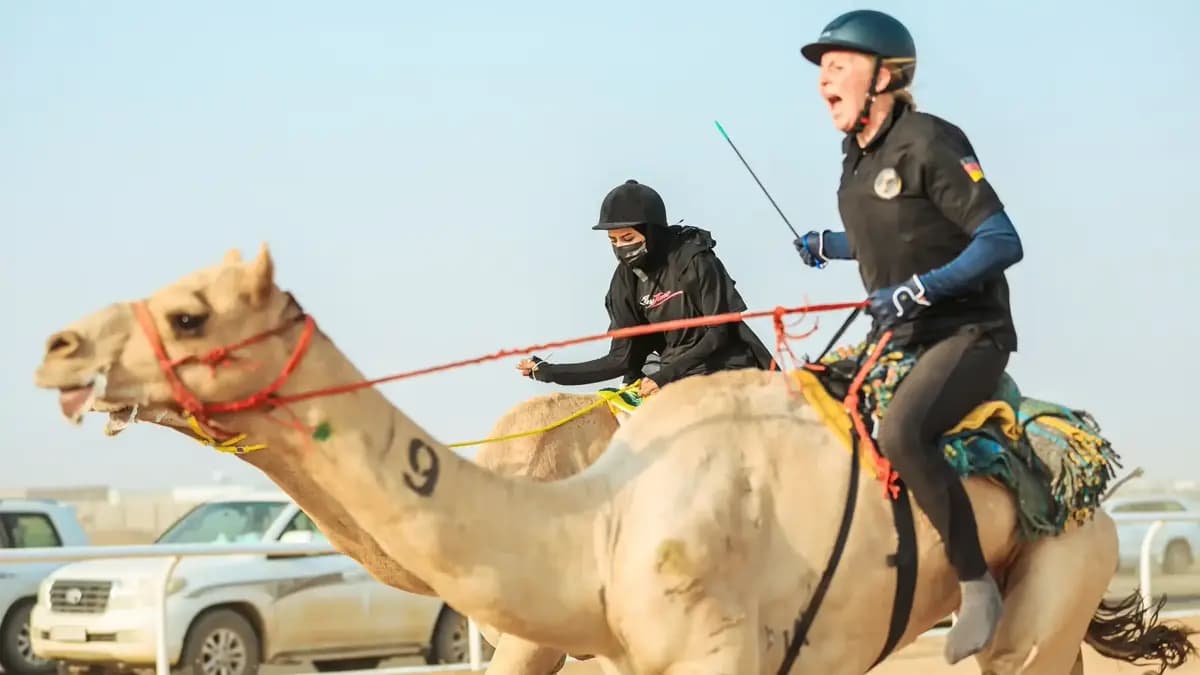 الاتحاد للهجن