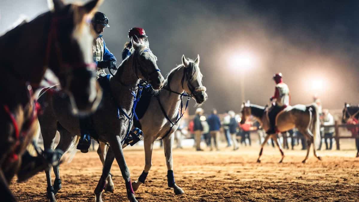 منافسات الفروسية الثلاثية