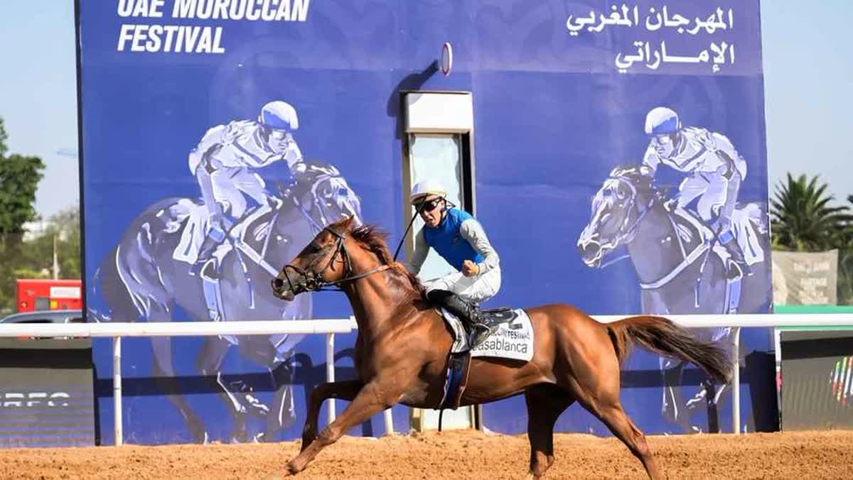 الفرس براق