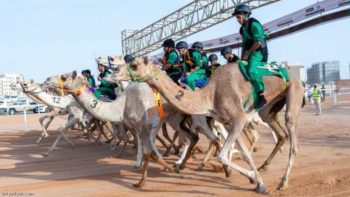 سباق اليوم الوطني السعودي