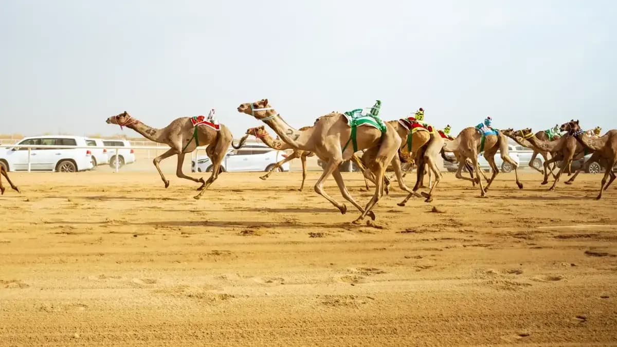 كأس الاتحاد في الطائف