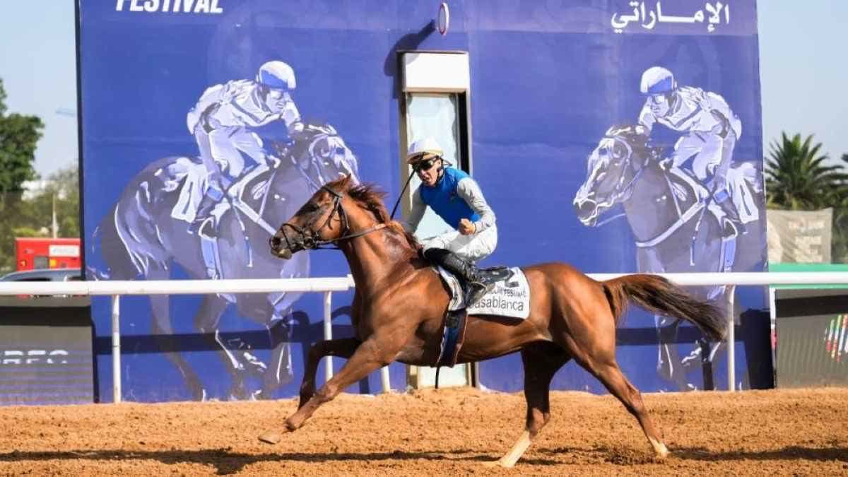 برناردو بينيرو