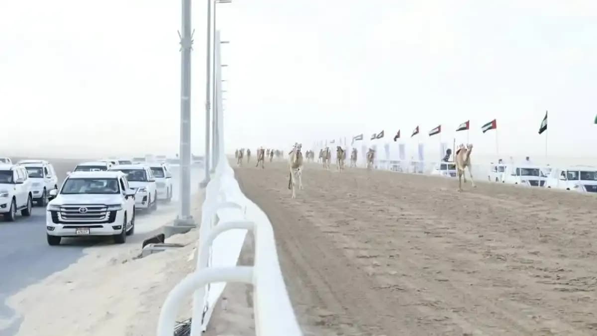 مهرجان الظفرة الرابع