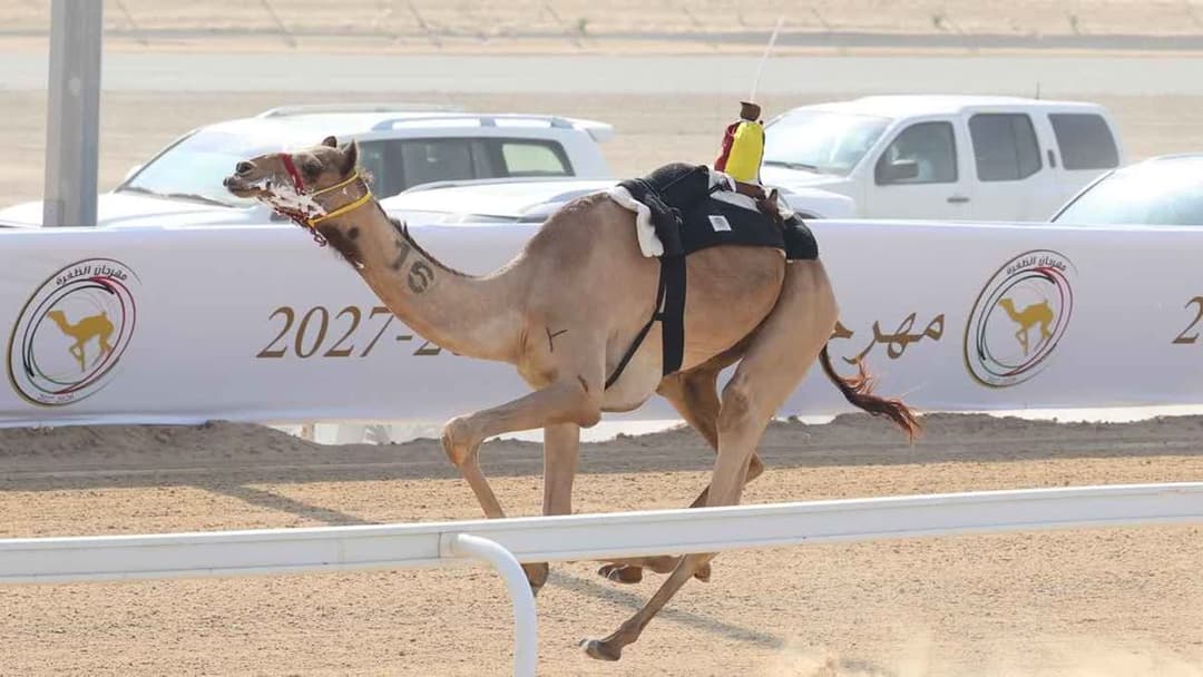 مهرجان الظفرة