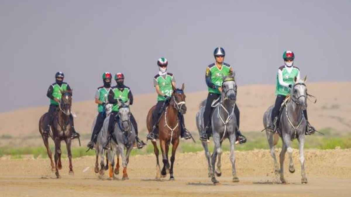 الفروسية