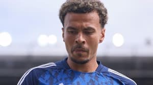 ديلي الي