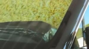 جويل إمبيد