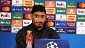 رافينيا