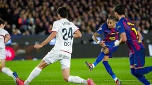 رافينيا