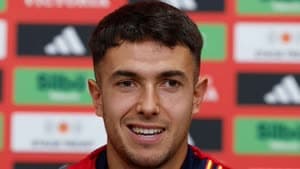 زوبيميندي