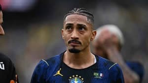 رافينيا