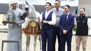 مربط دبي