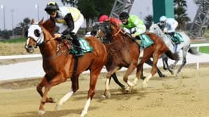 العين للفروسية