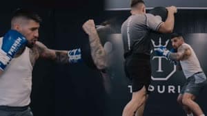 توبوريا