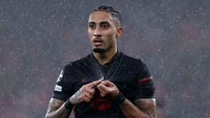 رافينيا