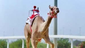 تروم