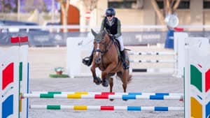 جولات قطر للفروسية