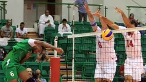 منتخب الامارت للطائرة