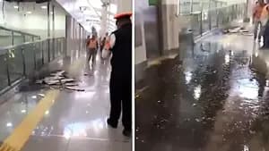 المكسيك
