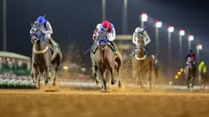 سباقات الخيل