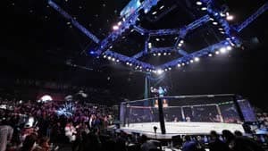 مثمن UFC، في الرياض