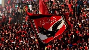 سيدات يد الاهلي