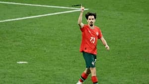 فيتينيا