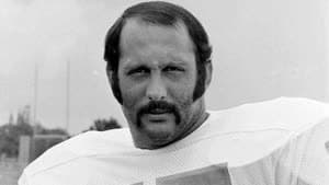 ماني فيرنانديز