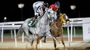 سباقات الخيل بالطائف