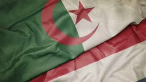 هولندا - الجزائر
