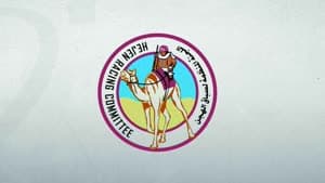 سباق الهجن
