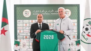 بيتكوفيتش