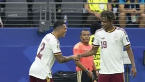 بيدرو بورو ولامين