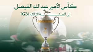 كأس الأمير عبدالله الفيصل