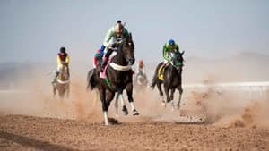 سباق الخيل في الطائف