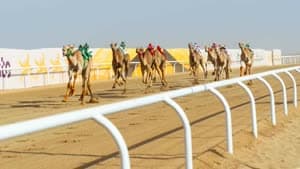 مهرجان ولي العهد للهجن