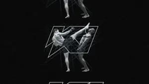 لعبة كي MMA