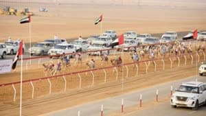 مهرجان العين