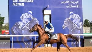 الفرس براق