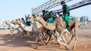 سباق اليوم الوطني السعودي