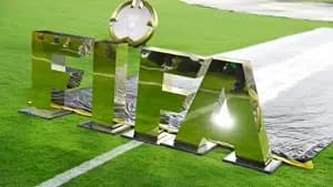 الاتحاد الدولي لكرة القدم