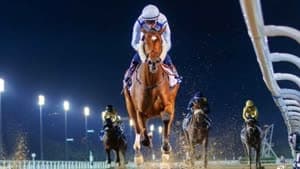 فانتاسي سباق الخيل