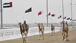 مثايل