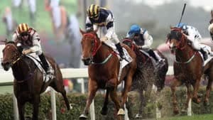سباقات الخيل والبولو