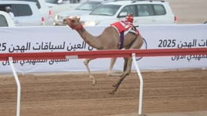 أفعال