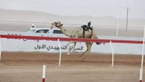 قزوين
